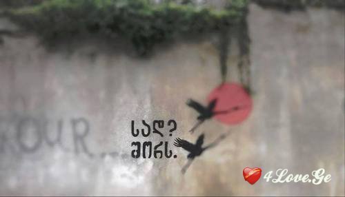 თავხედებო, მოგესაჯათ ერთად ყოფნა! 13