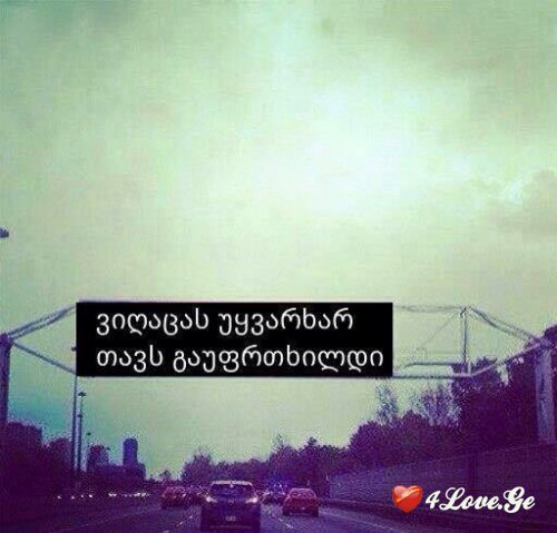 ნიკუშა ყაზბეგის გოგო ხარ  (თავი 5)