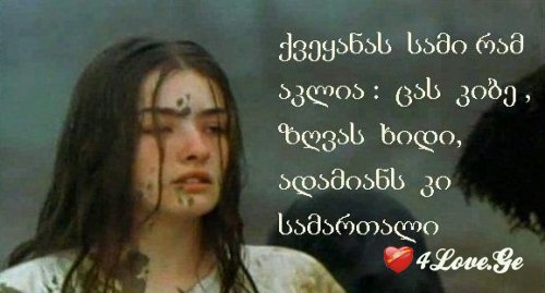 ნატვრის ხე