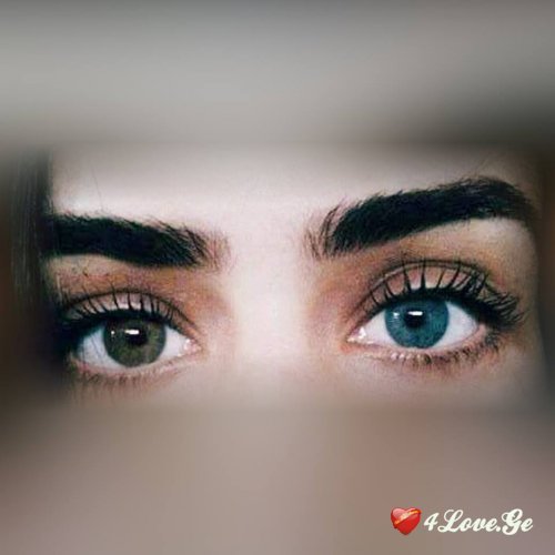 თვალები (სრულად)