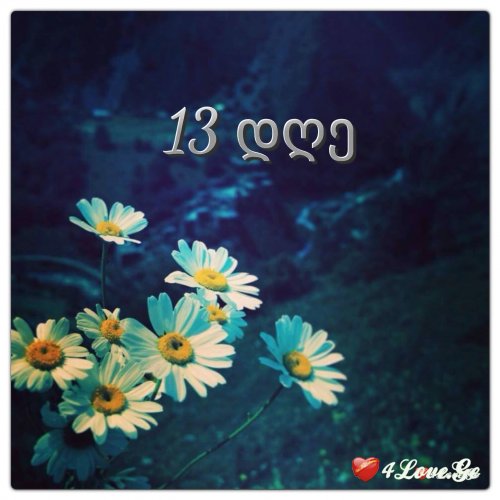 13 დღე (პროლოგი)