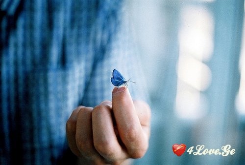 შევიქმნათ ჰარმონია