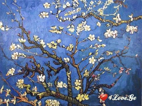 200 მელონქოლიური ფოტო