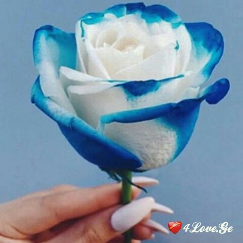 სევდის მიღმა...
