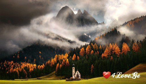 შემოდგომისფერი ბედნიერება