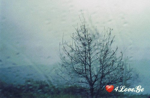 ძვირფასო მარიამ
