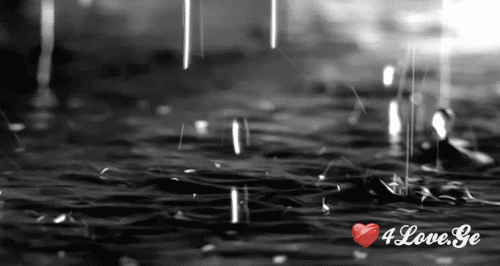 წვიმიანი დღეები...