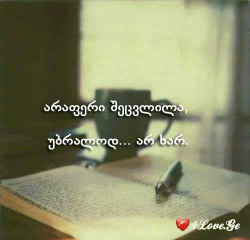 photoalbum (1)