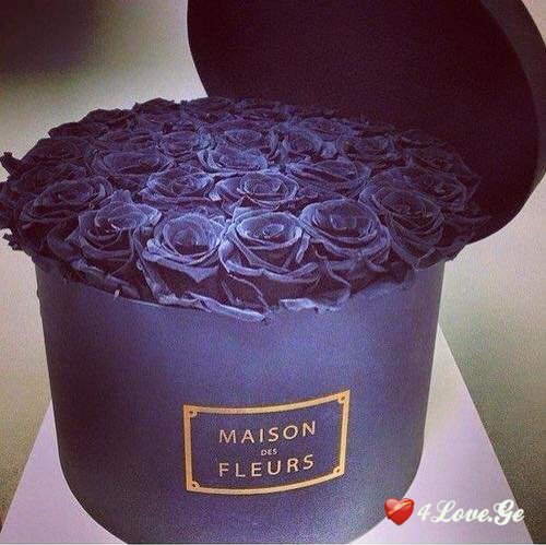 Black Is A Happy Color 