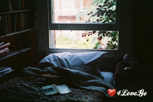 [photoalbum](5)