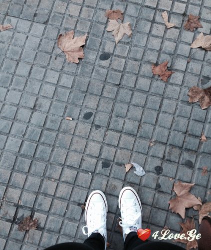 შემოდგომის რომანტიკა