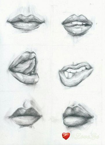 my lips,your neck