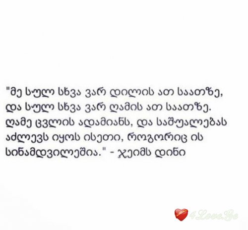photoalbum (1)