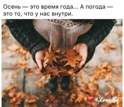 photoalbum (1)