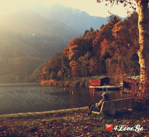 photoalbum (1)