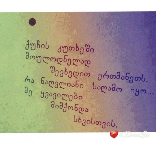 photoalbum (1)