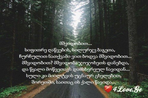 photoalbum (1)