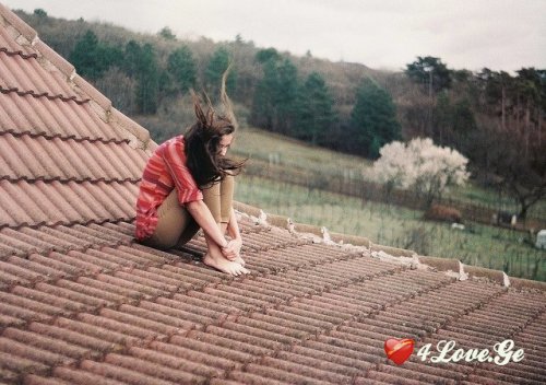 [photoalbum](2)
