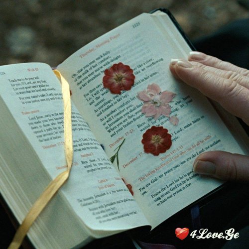 [photoalbum](2)