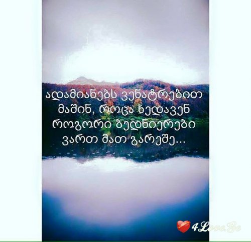 [photoalbum](2)