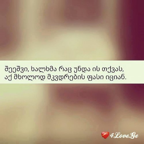 [photoalbum](4)