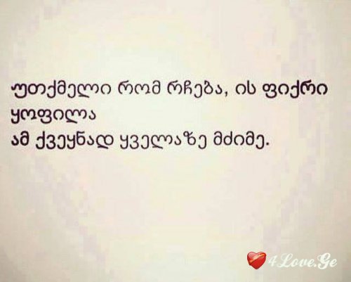 [photoalbum](5)