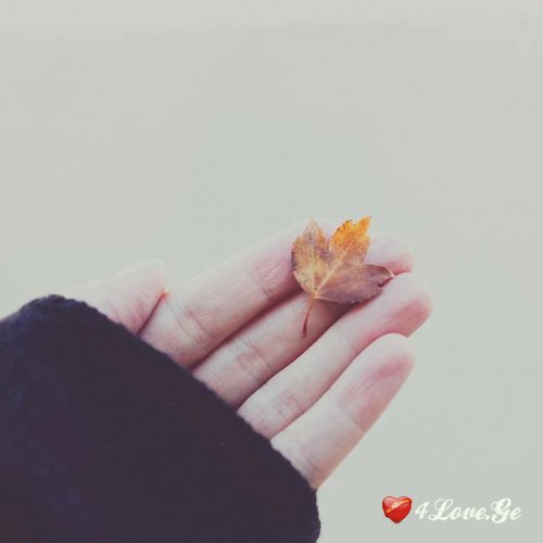 [photoalbum](5)