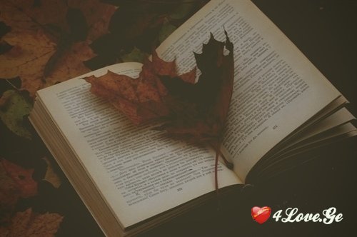 ჭრელი ფოთლები