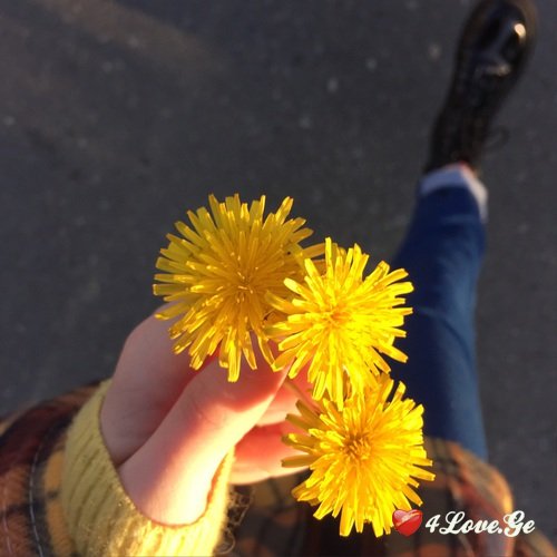ყვითელი საღებავი...