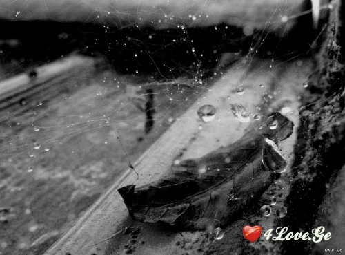 Rain Of Native Girl