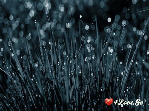 Rain Of Native Girl