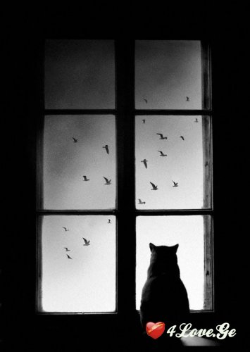 Unusual