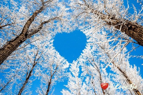 Snow and New Year