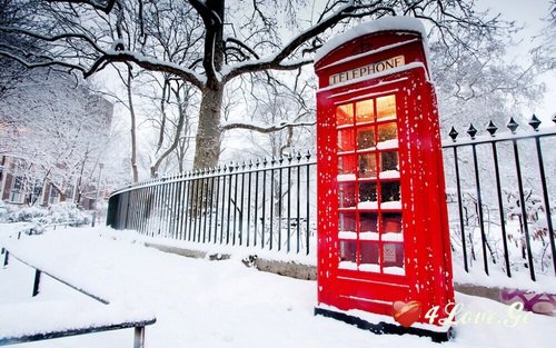 Snow and New Year