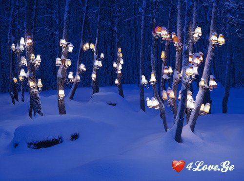 Snow and New Year