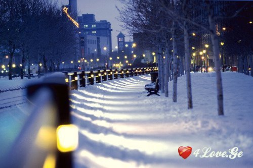 Snow and New Year
