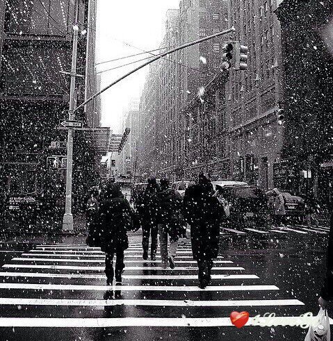 Snow and New Year