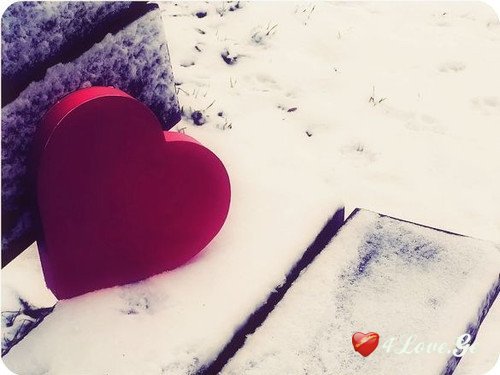 Snow and New Year