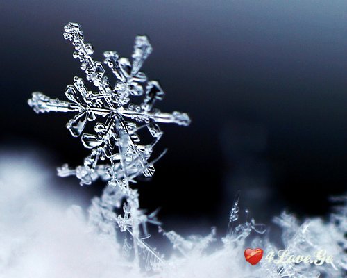Snow and New Year
