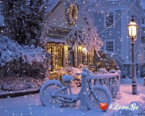 Snow and New Year