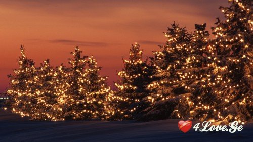 New year is coming,stay with me!