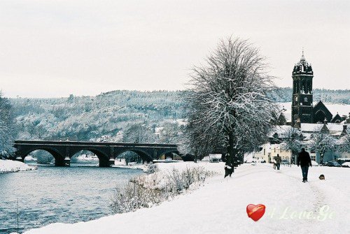 New year is coming,stay with me!
