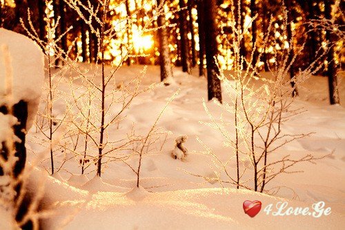 New year is coming,stay with me!