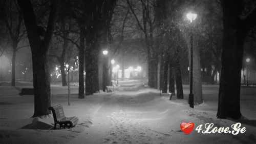 New year is coming,stay with me!