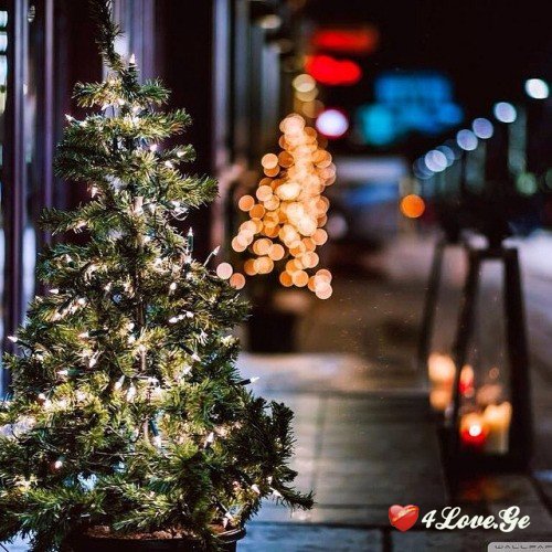 New year is coming,stay with me!