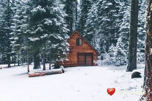 New year is coming,stay with me!