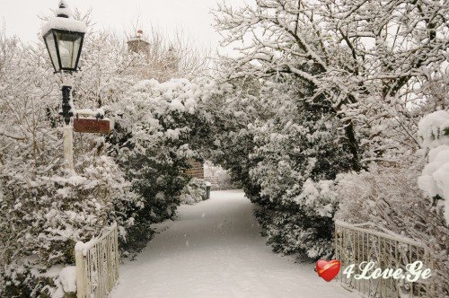 New year is coming,stay with me!