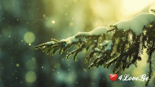 New year is coming,stay with me!