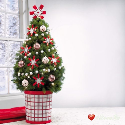 christmas is coming