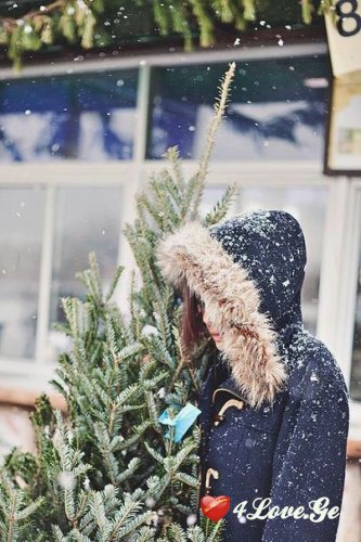 Snow and New Year